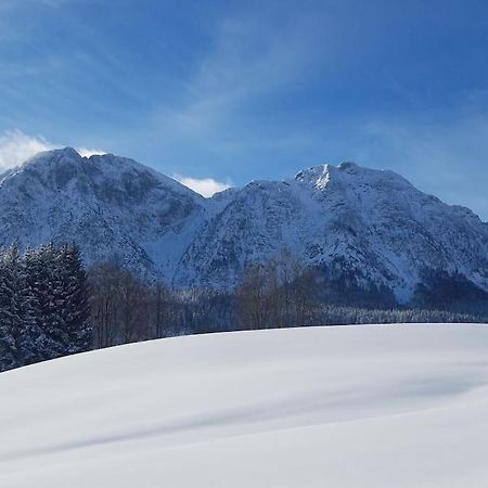 'Dasbergblick' Altaussee Buitenkant foto