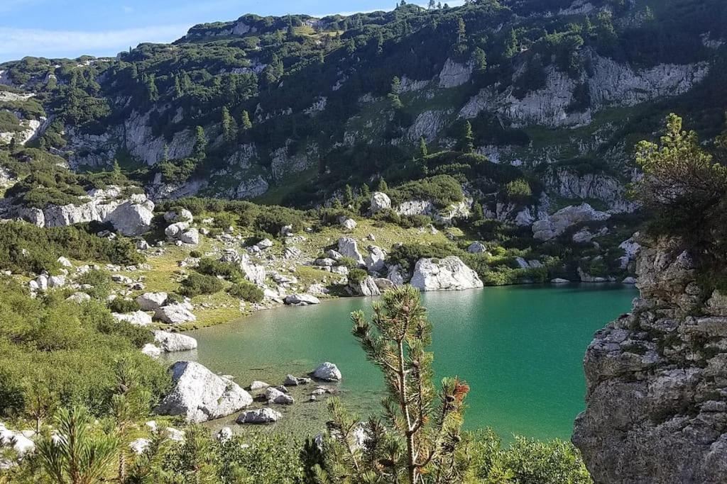 'Dasbergblick' Altaussee Buitenkant foto