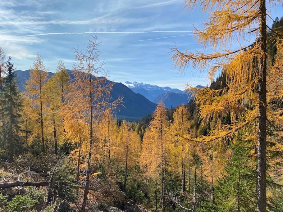 'Dasbergblick' Altaussee Buitenkant foto